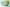Promotion banner